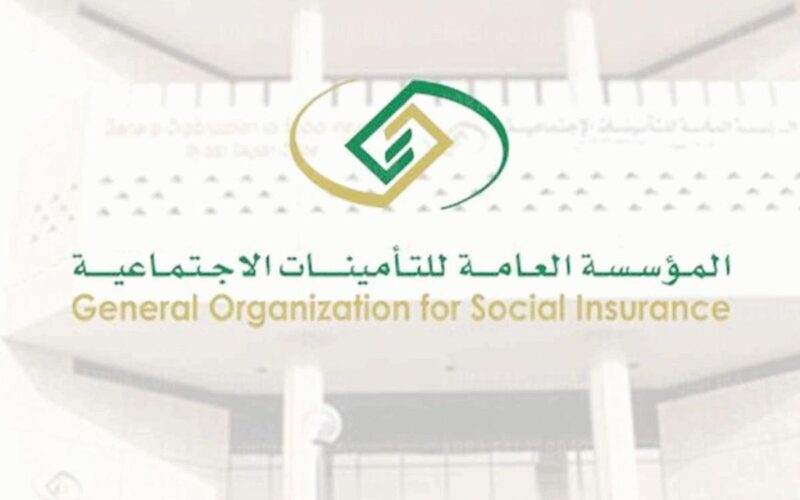 وزارة الموارد البشرية توضح أسباب وقف معاش التأمينات الاجتماعية عن المستفيدين 1445