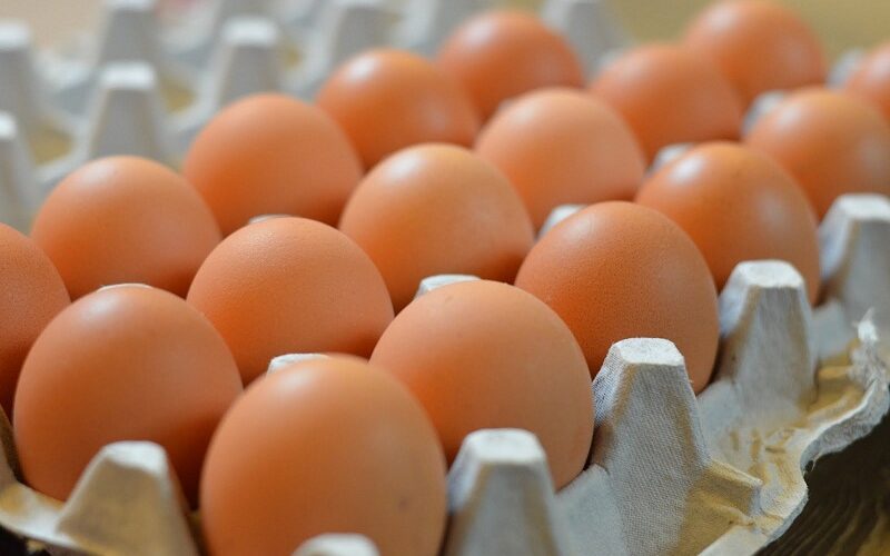 سعر كرتونة البيض اليوم الاربعاء 7-2-2024 للمستهلك في مصر