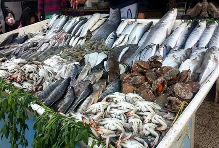 اسعار السمك اليوم الاثنين 26 فبراير 2024 في سوق العبور وأسواق المستهلك