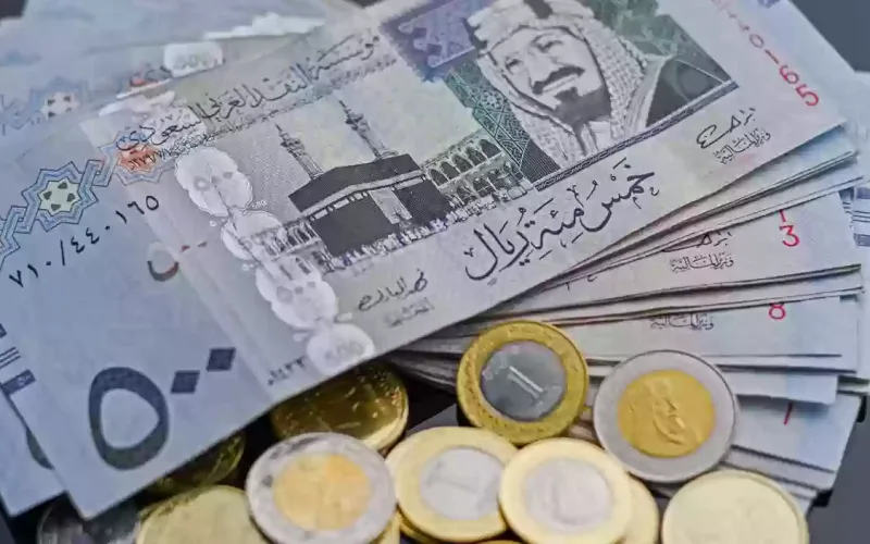 سعر الريال السعودي مقابل الجنيه المصري اليوم البنك الأهلي الأربعاء 21-2-2024