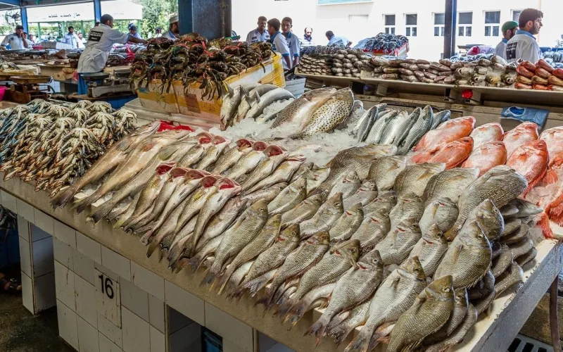 جدول اسعار السمك اليوم السبت 6 أبريل 2024 للمستهلك في سوق العبور