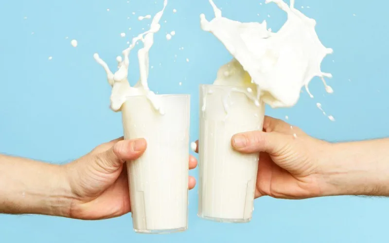 ما هى حقيقة فوائد الحليب للعظام وعلاج الهشاشة