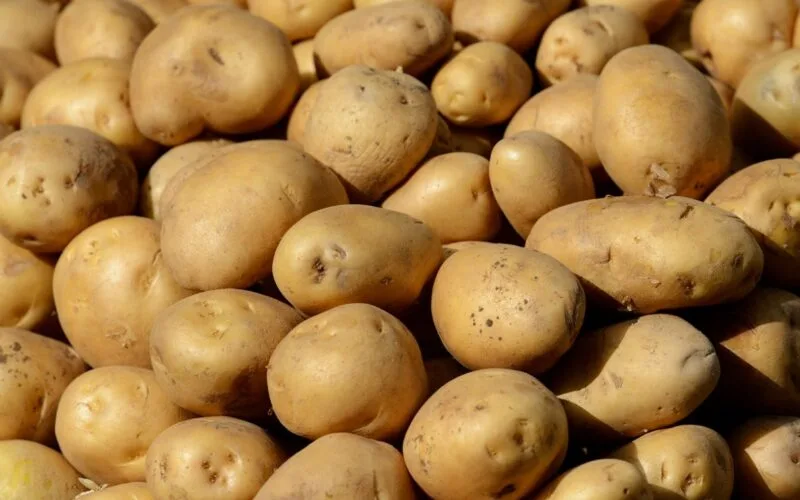 سعر البطاطس اليوم في مصر 2024 بالأسواق التجارية