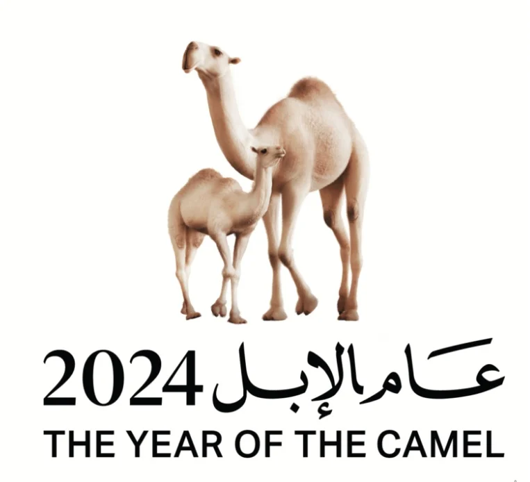 لماذا سمي 2024 بعام الابل ؟ وما هي أهدافه