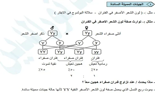 أسئلة على الفصل الأول من مادة الأحياء للصف الأول الثانوي الترم الثاني