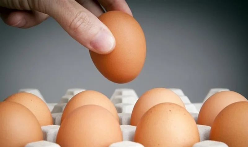 سعر كرتونة البيض اليوم للمستهلك الخميس 4 أبريل 2024 البيضة بكام