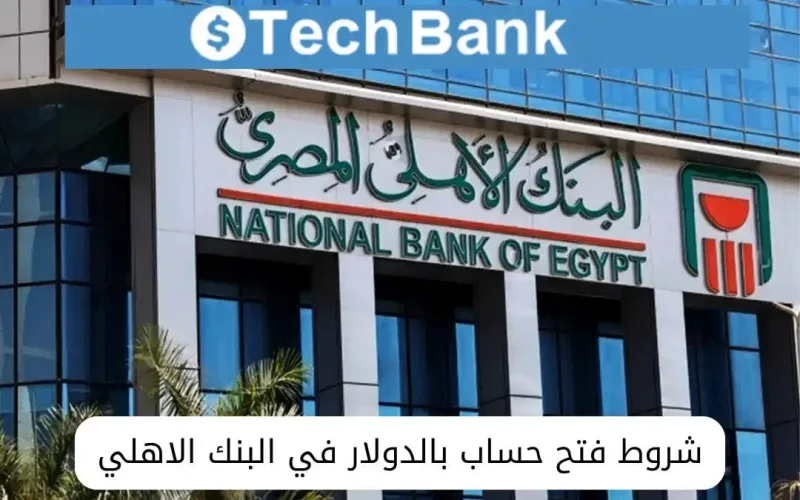تعرف على شروط فتح حساب بالدولار في البنك الأهلي المصري 2024