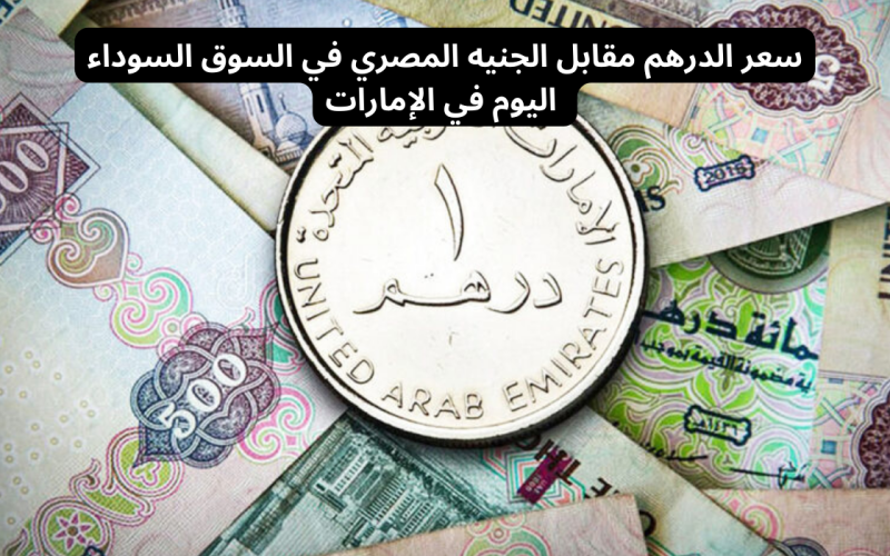 سعر الدرهم الاماراتي في السوق السوداء اليوم الإثنين 6 مايو 2024 وفي البنوك المصرية