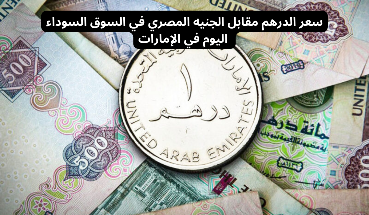 سعر الدرهم الاماراتي في السوق السوداء اليوم الإثنين 6 مايو 2024 وفي البنوك المصرية