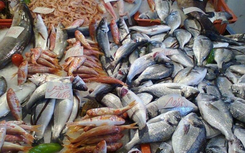 اسعار السمك اليوم الخميس 9 مايو 2024 فى الاسواق وجميع منافذ البيع المصريه